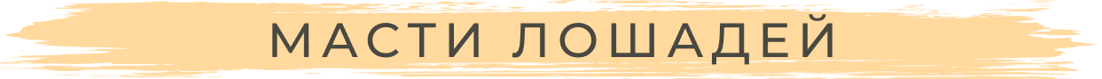 Масти лошадей