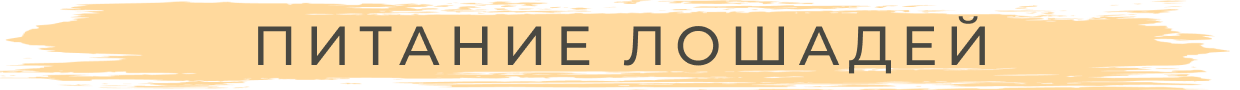 Питание лошадей